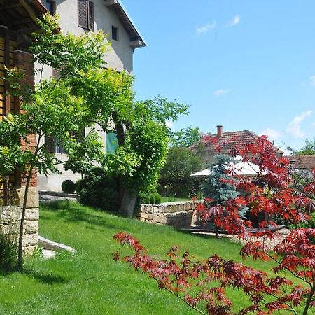 Guesthouse Djuric Negotin Luaran gambar
