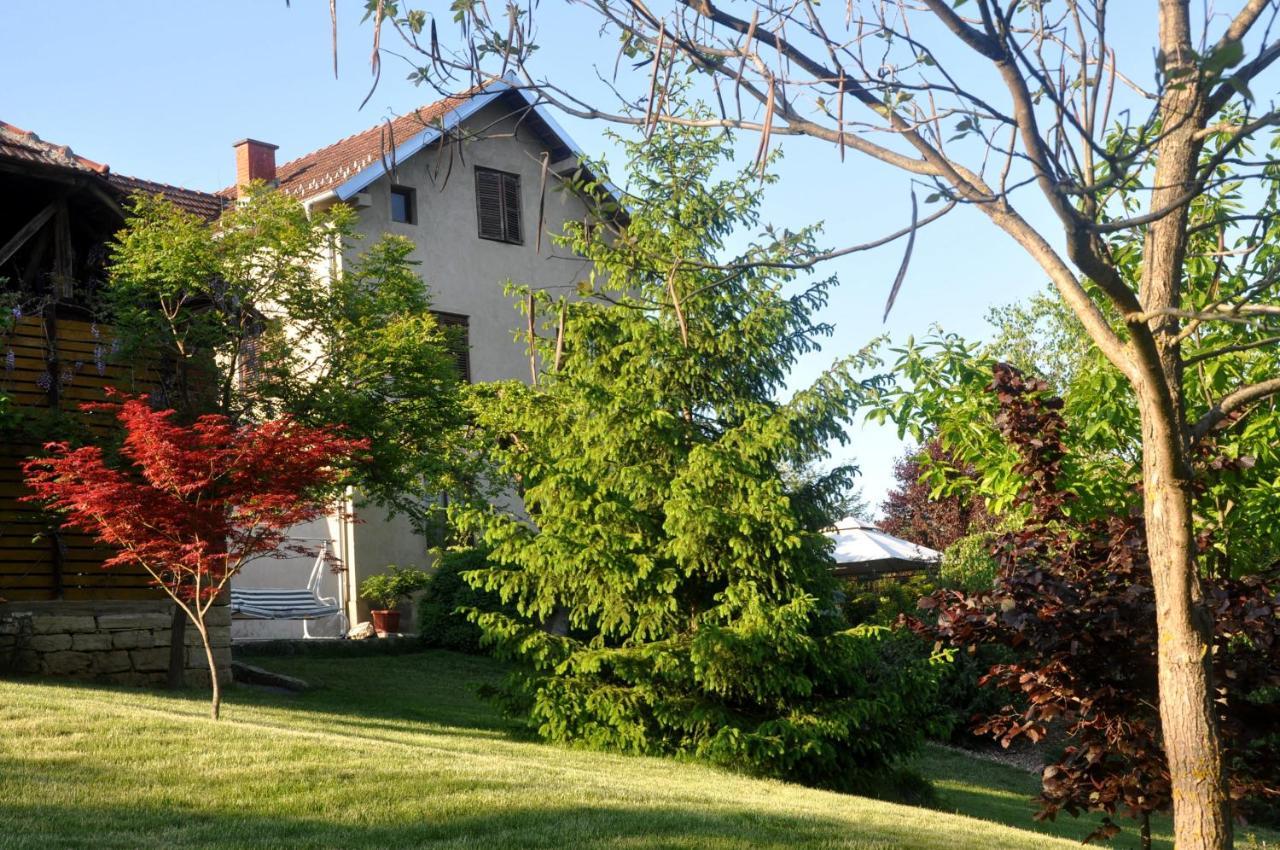 Guesthouse Djuric Negotin Luaran gambar