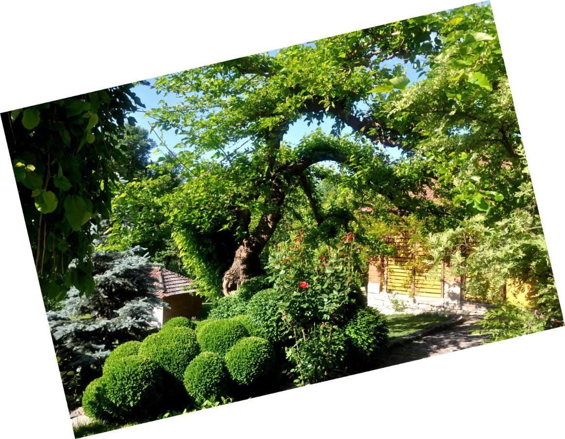 Guesthouse Djuric Negotin Luaran gambar