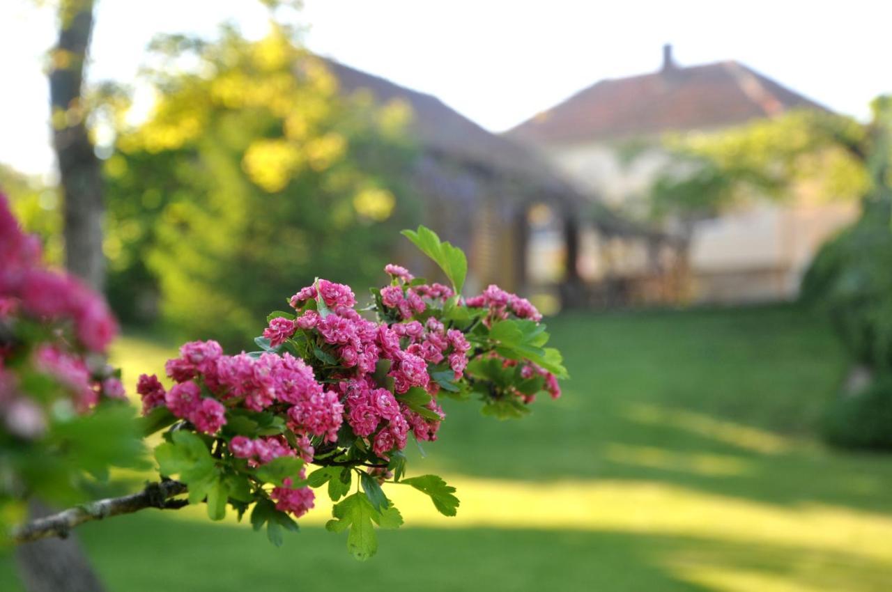 Guesthouse Djuric Negotin Luaran gambar