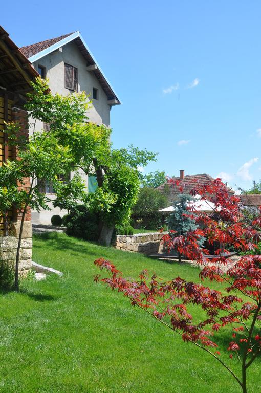 Guesthouse Djuric Negotin Luaran gambar