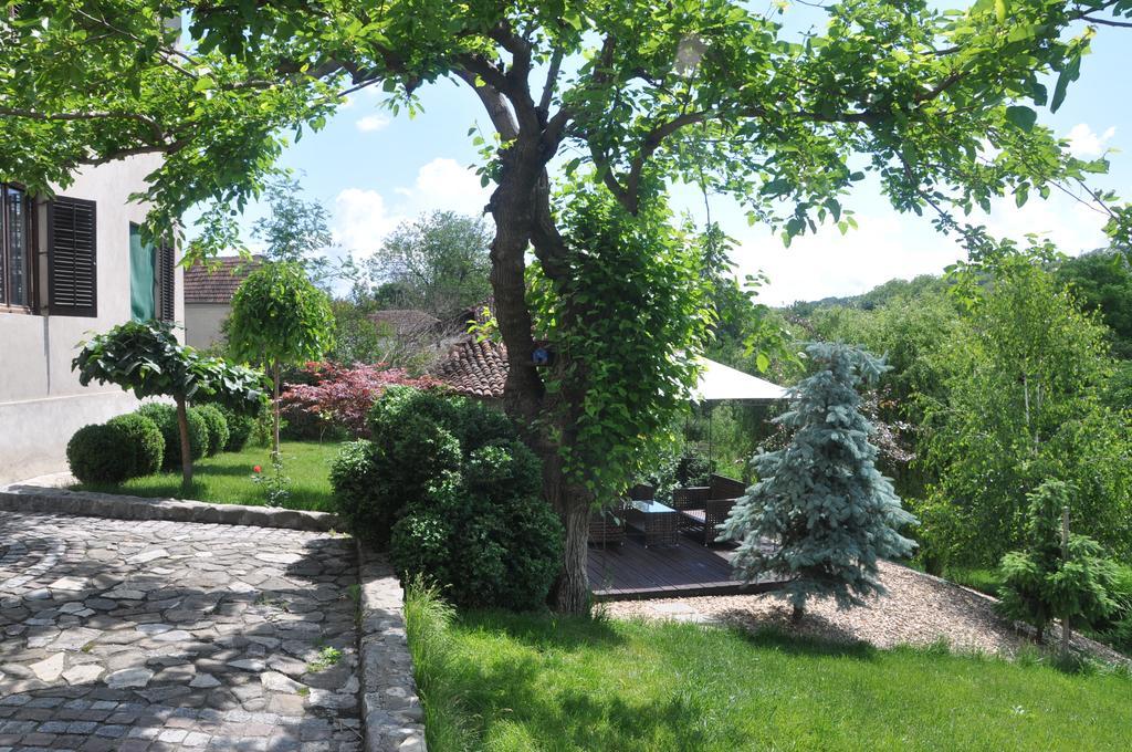 Guesthouse Djuric Negotin Luaran gambar