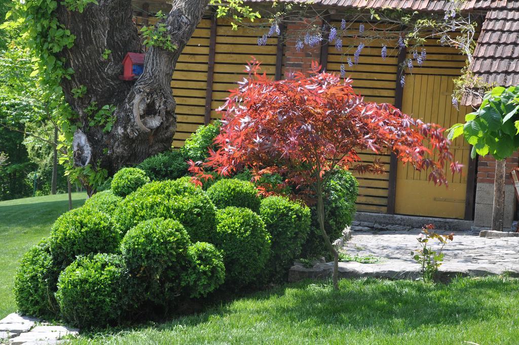 Guesthouse Djuric Negotin Luaran gambar