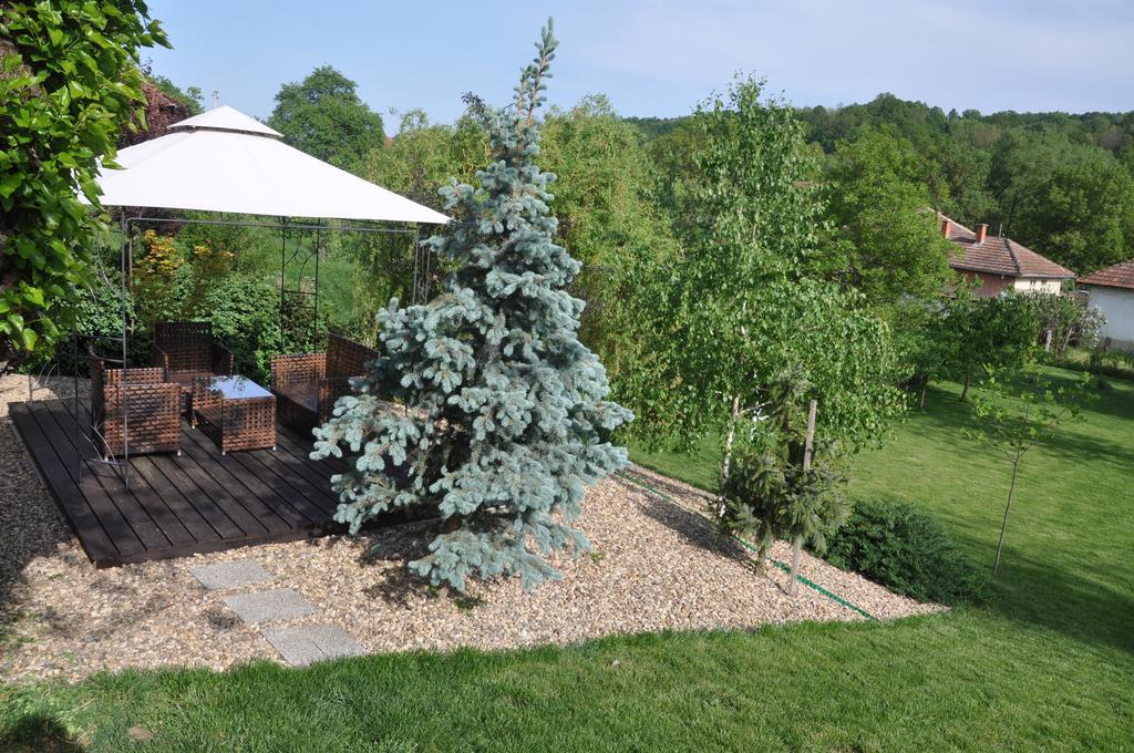 Guesthouse Djuric Negotin Luaran gambar