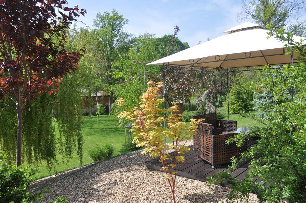 Guesthouse Djuric Negotin Luaran gambar